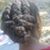 Dionne Morrison's profile image
