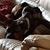 Carolyn Nyberg's profile image
