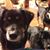 Brenda Cannane's profile image