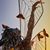Jenni Schuh Woodruff's profile image