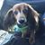 Donna Talasek's profile image