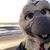 Corvin Dallas's profile image