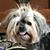 Susan Owens Grinker's profile image