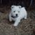 Terry Wisel Heintz's profile image