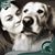 Angie Watkins-Minto's profile image