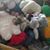 Sayyada Hufriya Shah Jeelani's profile image