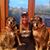 Marilee Petasek's profile image