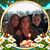 Dana Potts's profile image
