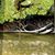 Terri Creviston's profile image