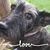 Erica Bennett Waterman's profile image