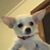 Alisha Kaye Tucker's profile image