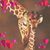 Kristina Soreide's profile image