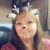 Crissy King's profile image