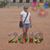 Maria Savely's profile image