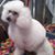 Babz Moffatt's profile image