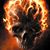 Tracy Spillman's profile image