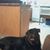 Kimberly Saunders's profile image
