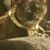 Critter Ricciardi's profile image