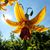 Linda Vincent Conrad's profile image