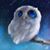 May Fite's profile image