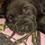 Lucille Austria's profile image