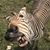 Mary Karns's profile image