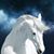 Larry Whitehorse's profile image