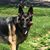 Sherry Rangel's profile image