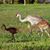Marsha Whitaker's profile image