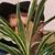 Seamus Leonhardt's profile image