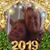 Tracie Taylor-Smagner's profile image