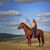 Barbara Masey's profile image