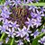 Wanita Williams's profile image