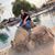 Hailee Danielle's profile image