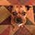 Susan Roy's profile image