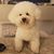 Patricia Sollini's profile image
