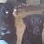 Michael Ethington's profile image
