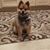 Betty D. Frey's profile image