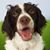 Margaret Ann's profile image