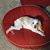 Louann Smith's profile image