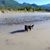 Debbie Grant-Doyle's profile image