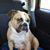 Christopher Miller's profile image