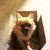Linda Fagan's profile image