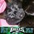 Barbara Palermi's profile image