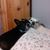 Brigitte Christiansen's profile image
