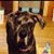 Rodney Andrew's profile image