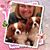 Pamela M. Fiorucci's profile image