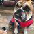 Keylee Tacy's profile image