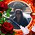 Ernestine Horta-Castillo's profile image