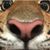Miguel Claro's profile image